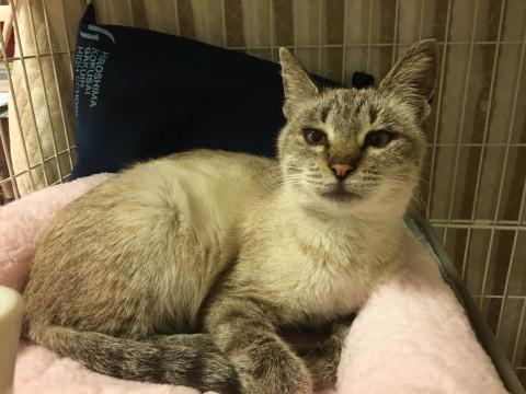 ヨレヨレで助けを求めて来た子