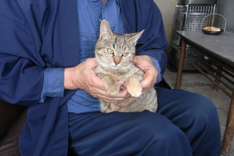 里親さん募集中