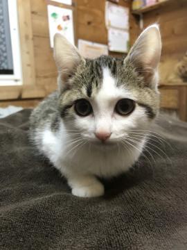 お顔まん丸、お目目クリクリ3兄妹！