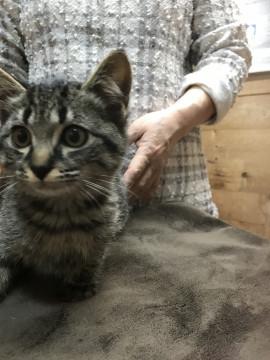 お顔まん丸、お目目クリクリ3兄妹！