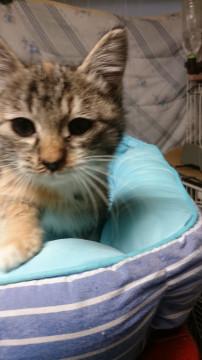 元気！みとちゃん可愛いね～(^-^)みと