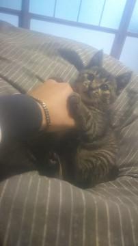 元気いっぱいおてんば女の子3ヶ月?