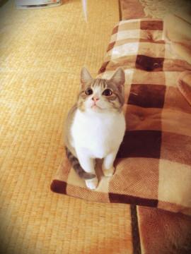 現場遺棄の女の子