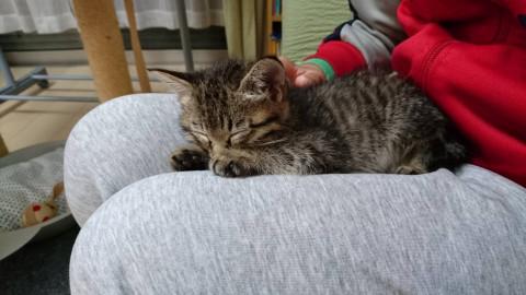 好奇心旺盛お転婆な女の子