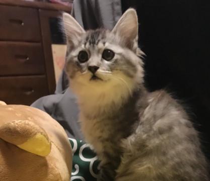 長毛のイケメン君☆