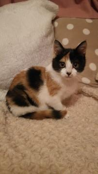 ちょっぴり奥手な女の子