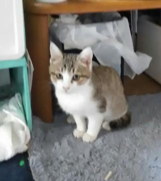 ちょっぴりはずかしがりやの甘えん坊