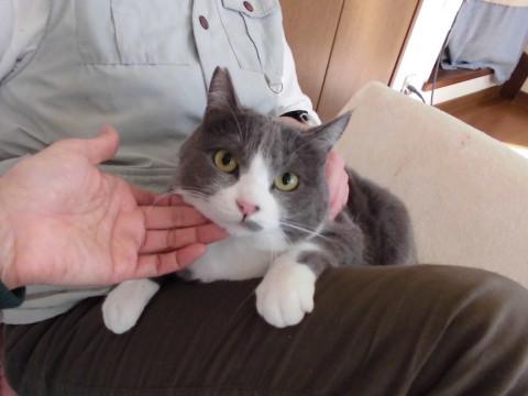 小屋から出してあげたい！おっとり手袋靴下