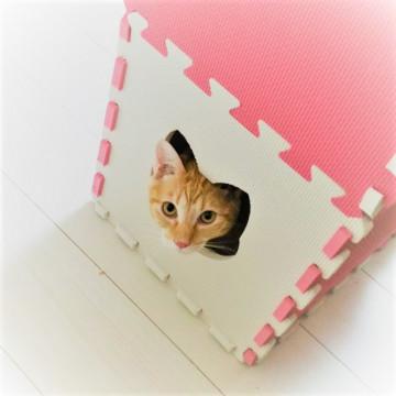 気のイイおとぼけ桜丸くん