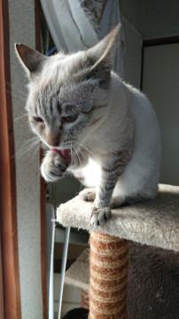 人馴れして可愛い子です(^з^)-☆