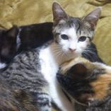 活発で超甘えん坊な男の子。