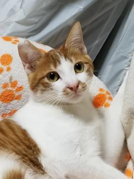 食べること大好きなやんちゃ君