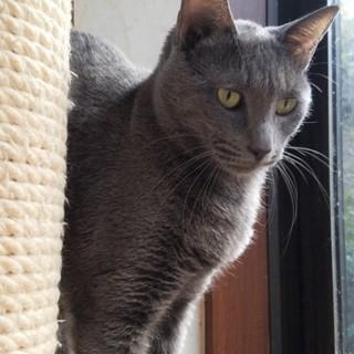 NAVY☆10歳くらい