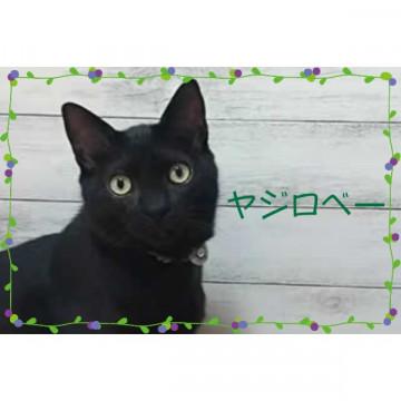 いたずら兄妹♪ヤジロベーくん