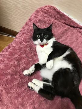 2歳メス
