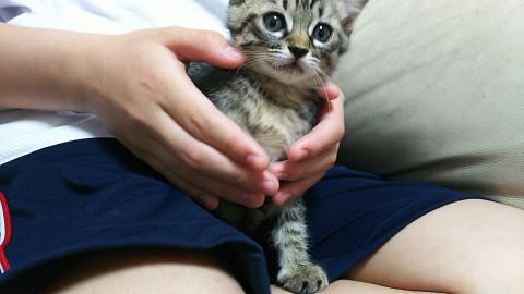 人懐っこい姉妹　マロンちゃん