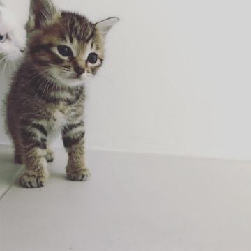 うり坊ちゃん☆