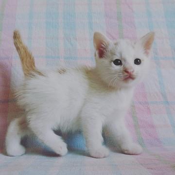 千葉県市川市/ 甘えん坊の女の子^^