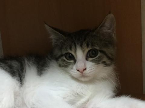 ハンディあっても強く成長中のみどりちゃん