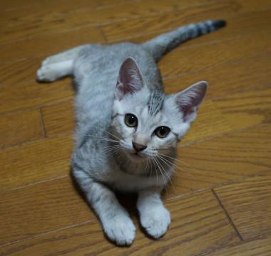 もうすぐ３か月の男の子