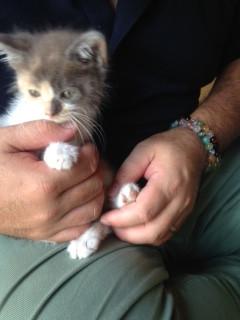 グレーにオレンジ　とてもきれいな女の子