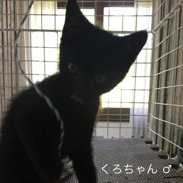 遊ぶの大好き甘えん坊の男の子