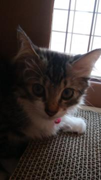 奇跡の救出・・・救われた命を幸せに