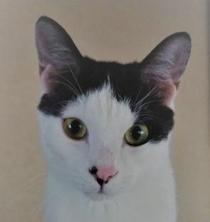 何故か笑っちゃうお顔！！