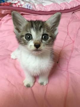 ６月５日生まれの三姉妹です