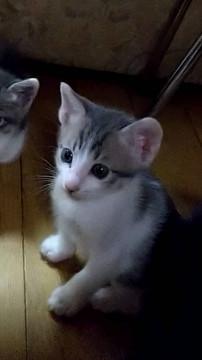 5月8日生まれの美人姉妹