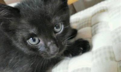 5月8日生まれの美人姉妹