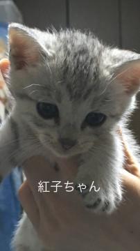 モデルみたいな可愛い姉妹　紅ちゃん