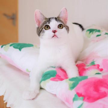 うるうるな瞳がとってもかわいい女の子