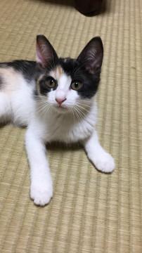 ミルクから育てた はぜちゃん♪