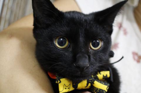 優しいてっぺいくん