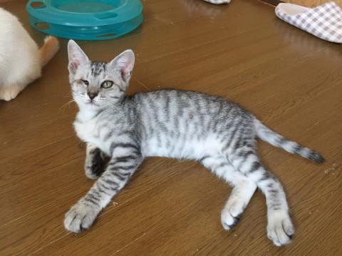 パワフルで元気いっぱい男の子