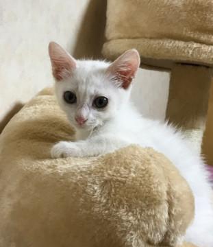 仲良し兄妹です。