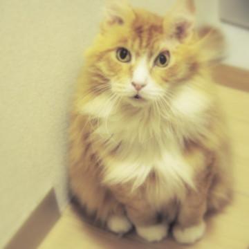 素晴らしいママに出逢えました！感謝！