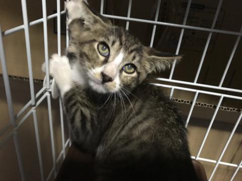 怖がり屋さんだけど、甘えん坊な男の子