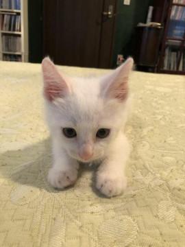 甘えん坊のジュンくん