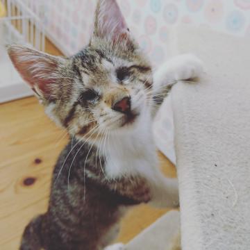 全盲だけど、おてんばな希ちゃん