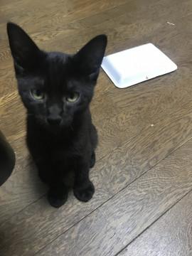 生後３カ月可愛い盛りです(^_^)