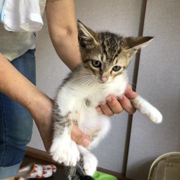 ラッキーな男の子