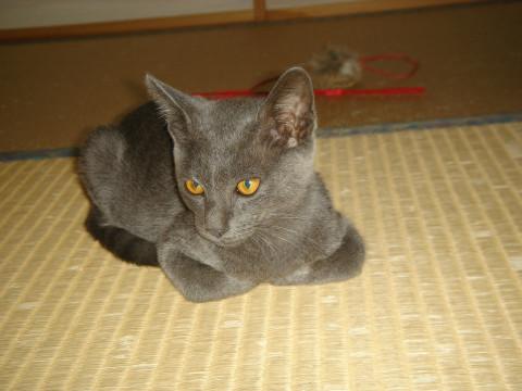 とても可愛くて甘えん坊です