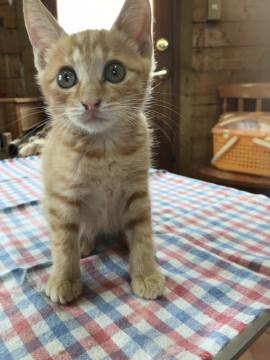 キョトンとしたお顔の男の子！