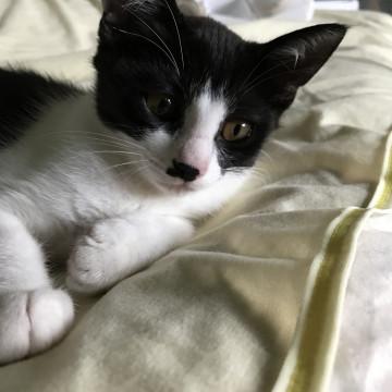 ちょっとだけビビりちゃん