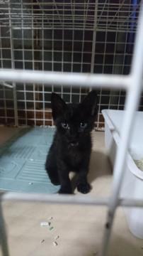 元気な２ヶ月の女の子