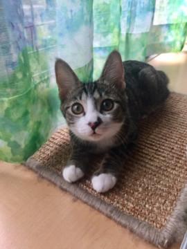 ♡甘々♡おっとり♡穏やか♡