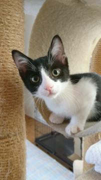 元気いっぱい【レース】ちゃん