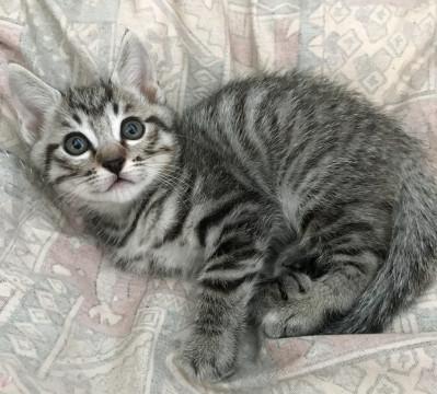 優しいお兄ちゃん♪